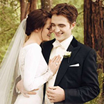 The Twilight Saga Breaking Dawn - Part 1